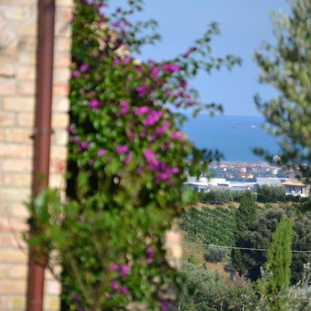 Agriturismo Il Sapore Della Luna 蒙泰普兰多内 外观 照片