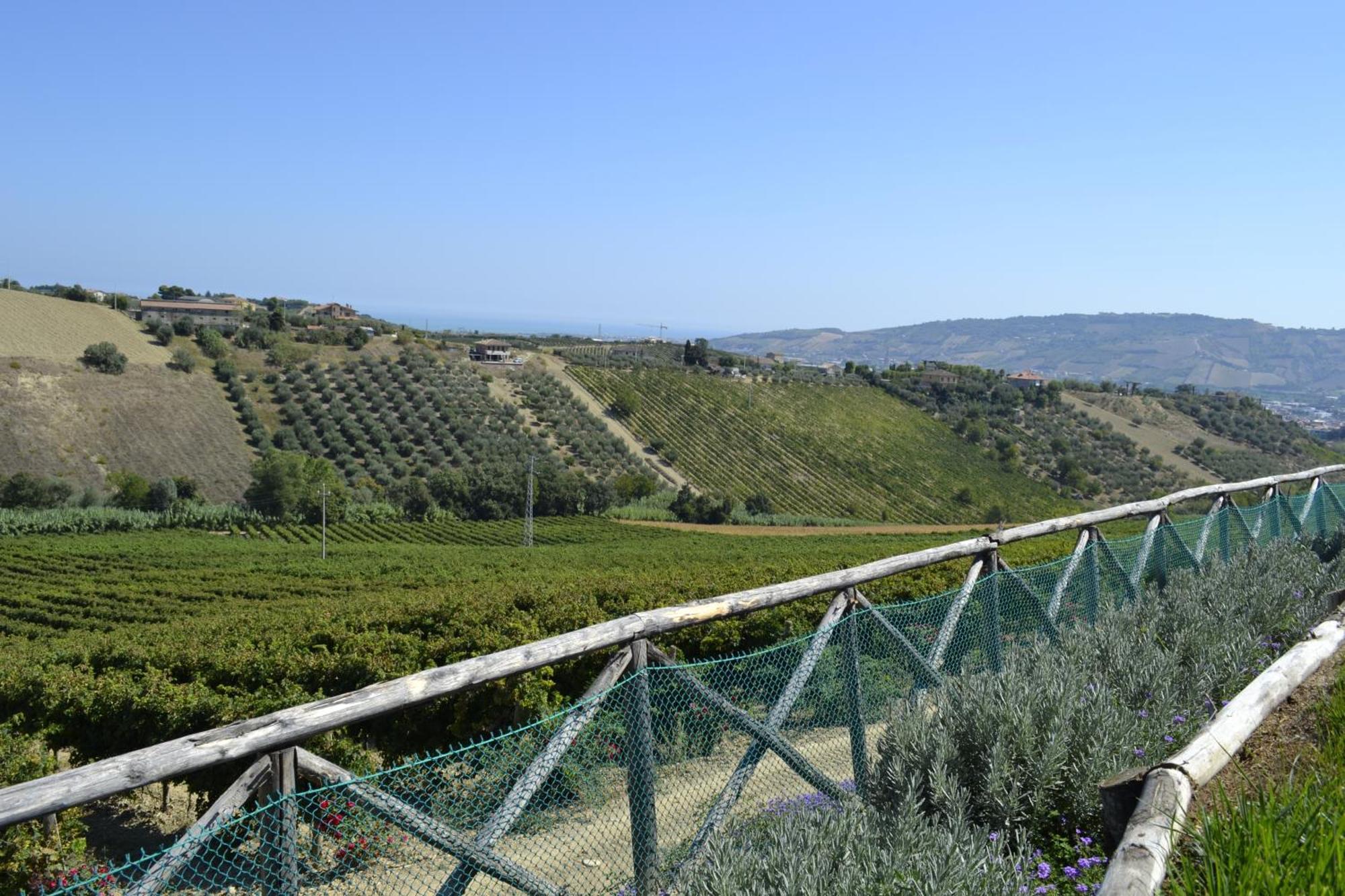 Agriturismo Il Sapore Della Luna 蒙泰普兰多内 外观 照片