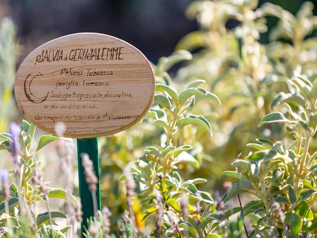 Agriturismo Il Sapore Della Luna 蒙泰普兰多内 外观 照片