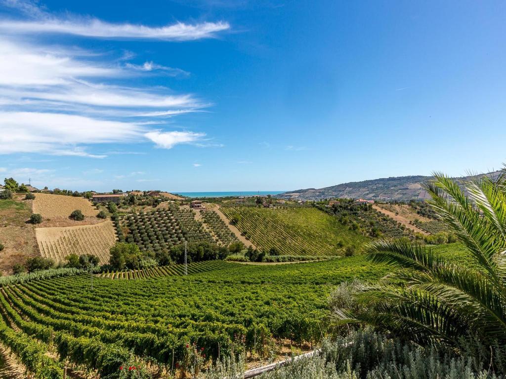 Agriturismo Il Sapore Della Luna 蒙泰普兰多内 外观 照片