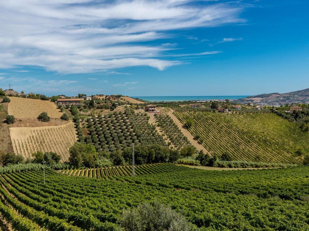 Agriturismo Il Sapore Della Luna 蒙泰普兰多内 外观 照片